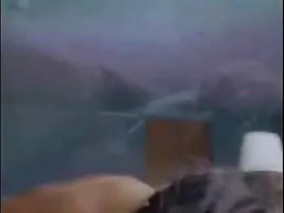 پیاری ٹومی ٹیلر نے کپڑے دھونے کے کمرے فیلمسکسی روسی میں چھلانگ لگائی۔