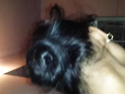 کیری این ریلی وانٹ ایک بلیک راڈ ہے۔ سکس با خواهر روسی