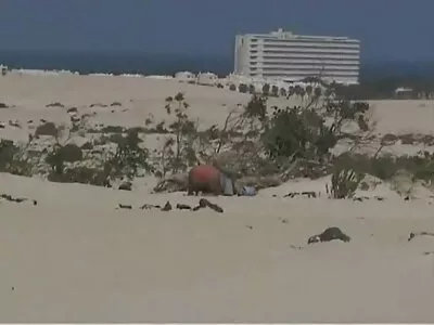 شرارتی لڑکی ایک احسان واپس کر رہی ہے۔ کلیپ سکسی روسی